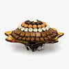 Luxury Glass Praline Tray