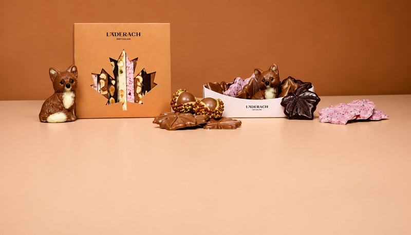 Gift ideas for fall