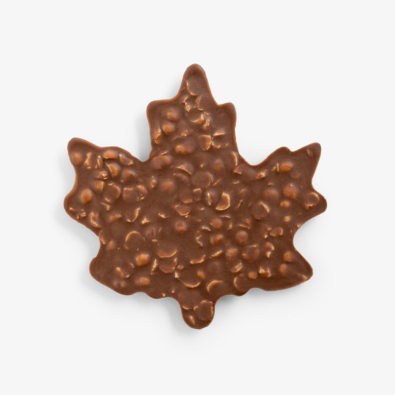 FrischSchoggi Maple Leaf Hazelnut